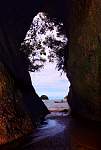 IMG_2461 abel tasman cave.JPG